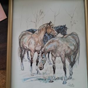 Dessin chevaux